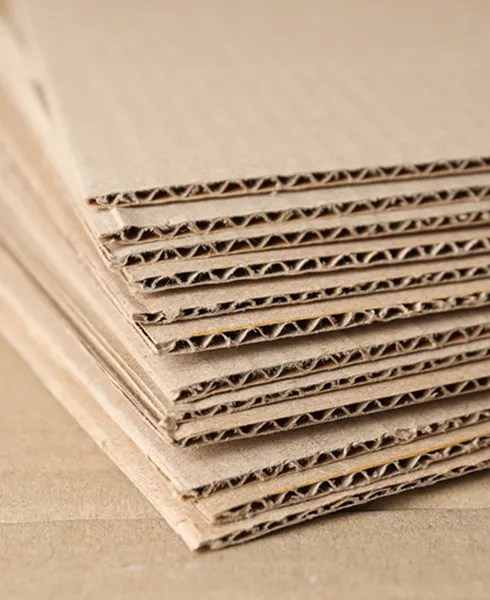 Sheets Images
